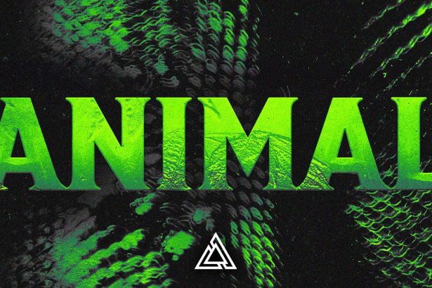 R3HAB & Jason Derulo – Animal (Extended Mix)