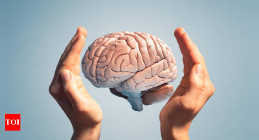 Savjeti za zdravlje mozga: Harvardov stručnjak preporučuje ovu 4-minutnu aktivnost za poboljšanje zdravlja mozga