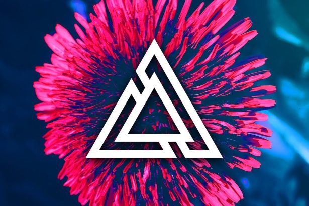 SVRGE – Animosity | ELECTRO HOUSE