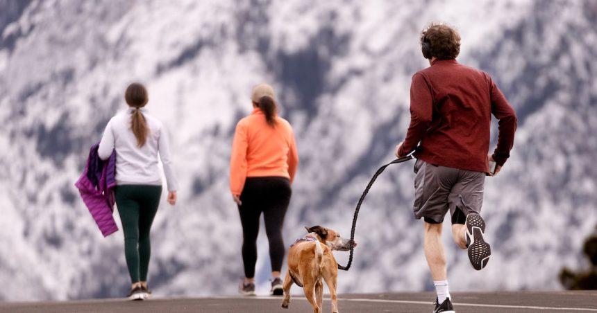 SHKG67G2QRALBAS7OSOGIWMK3Y