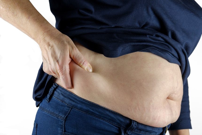 belly fat of overweight person pixabay