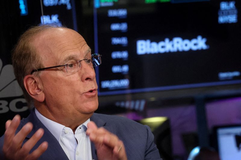 BlackRock povezao Finkovu plaću s rastom privatnog tržišta