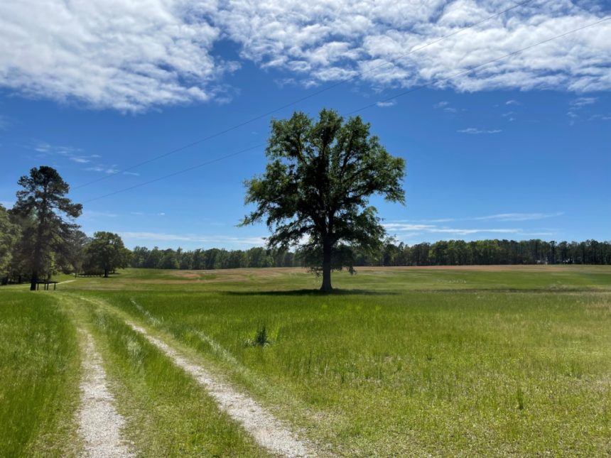 Auburn SEEDS 2025 1000x750
