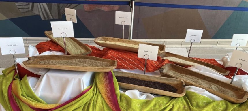 Millet varieties on display during the launch of Millets Exhibition on February 14 2023 at UN Headqu
