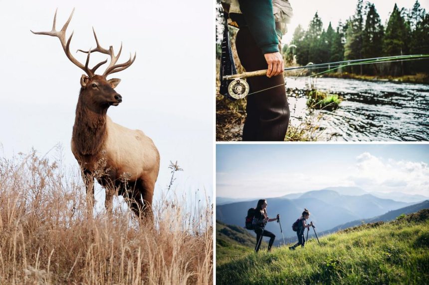 attachment Untitled design 2025 03 06T093019.798