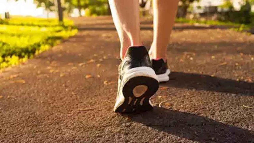 1538403 walking