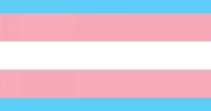 Trans pride