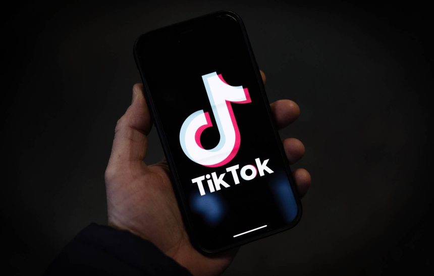 tiktok electronic indie