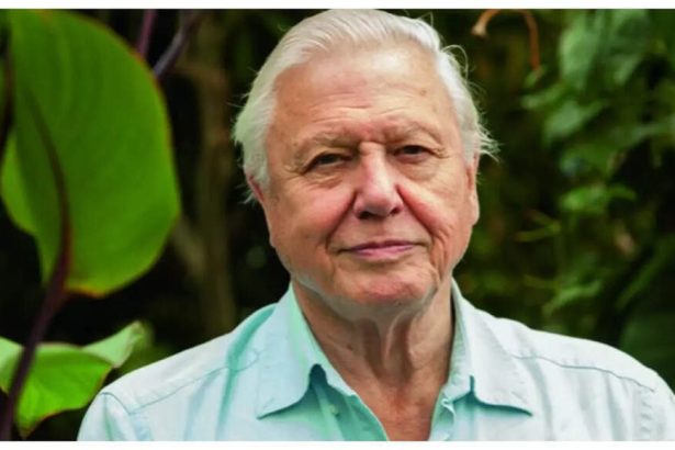 Emitiranik David Attenborough proslavio je 99. rođendan prošlog mjeseca. Ove 5 navika otkrivaju njegovu tajnu dugovječnosti (i lako ih je primijeniti!)