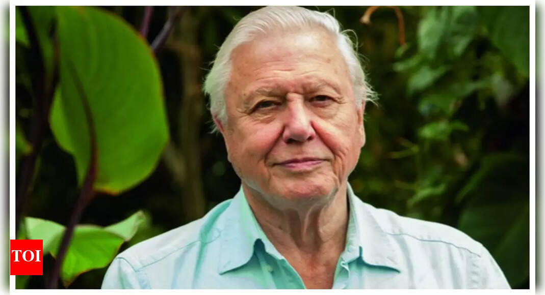 Emitiranik David Attenborough proslavio je 99. rođendan prošlog mjeseca. Ove 5 navika otkrivaju njegovu tajnu dugovječnosti (i lako ih je primijeniti!)