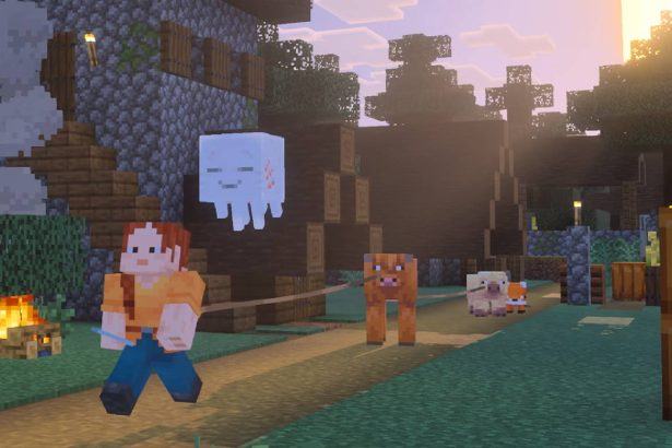 Minecraft je u godinama stekao svoj prvi sjaj