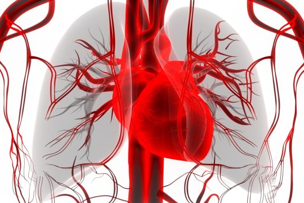 Loše životne navike gotovo udvostručuju rizik od razvoja AFIB-a