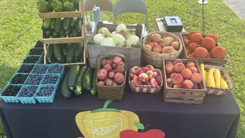 snap ed farmers market psn