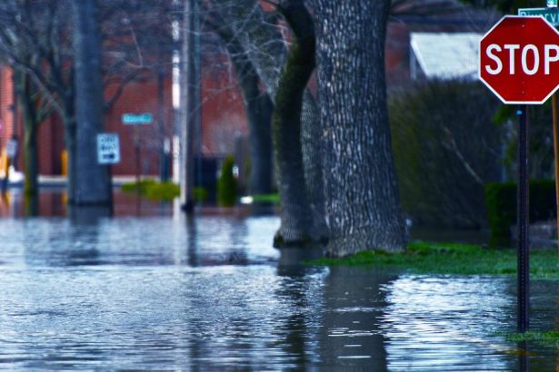 Britanski istraživači razvijaju lokalnu meteorološku tehnologiju