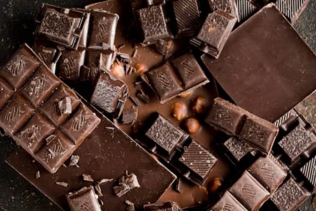 Može li čokolada usporiti starenje? Nova studija o teobrominu, zdravlju mozga i dugovječnosti otkriva zanimljive podatke