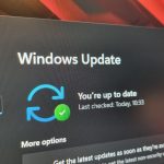 Varijanta zlonamjernog softvera koristi lažne zaslone Windows Update kako bi prevarila korisnike da instaliraju softver za krađu informacija.