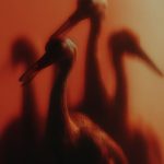 fabric London se vraća u Jo’burg i Cape Town u siječnju 2026.