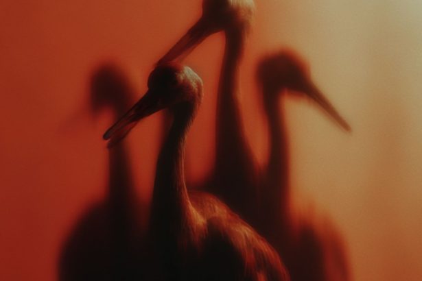 fabric London se vraća u Jo’burg i Cape Town u siječnju 2026.