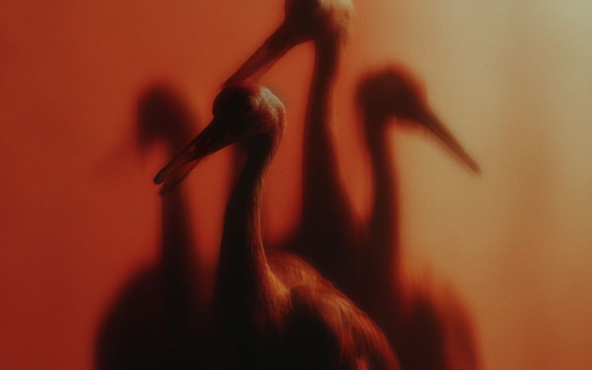 CEC Featured Image scaled