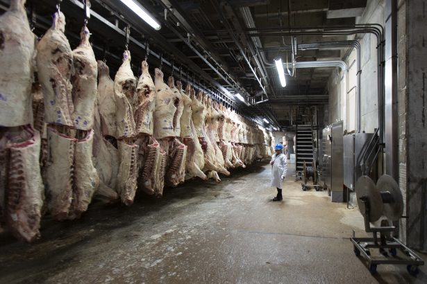 Mesni div Cargill unapređuje rezbarenje govedine kroz tehnologiju