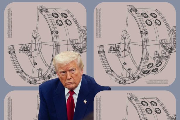 Trumpova bizarna igra fuzije s TAE Technologies