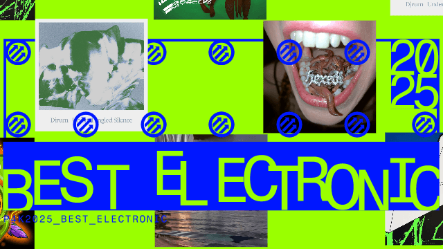 30 najvažnijih elektroničkih albuma 2025.