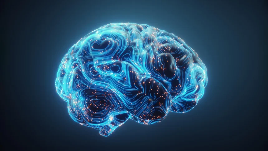 brain network connections mind.webp