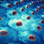 Tehnologija Cellgorithm temeljena na CRISPR-u donosi novu eru u programiranju stanica