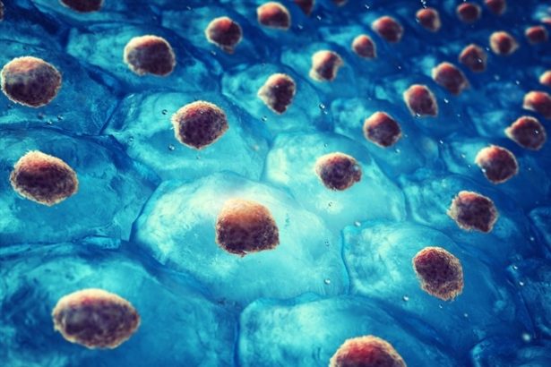 Tehnologija Cellgorithm temeljena na CRISPR-u donosi novu eru u programiranju stanica