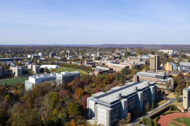 Četiri projekta izabrana za nagrade Schmidt Transformative Technology Fund 2025