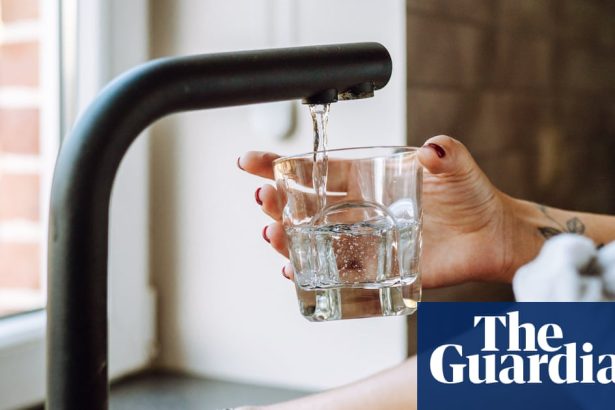 Nova filtracijska tehnologija mogla bi promijeniti pravila igre u uklanjanju PFAS ‘vječnih kemikalija’