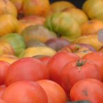 Savjeti za zdravu prehranu tijekom praznika od UofL Health | Lokalne vijesti