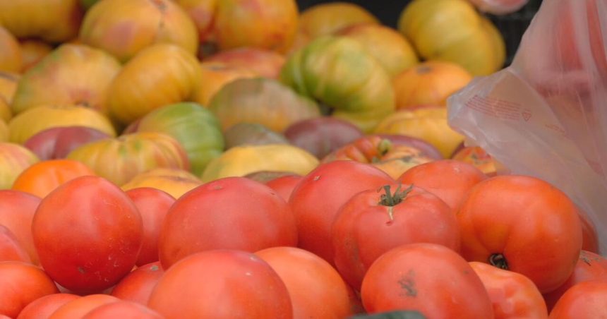 Savjeti za zdravu prehranu tijekom praznika od UofL Health | Lokalne vijesti