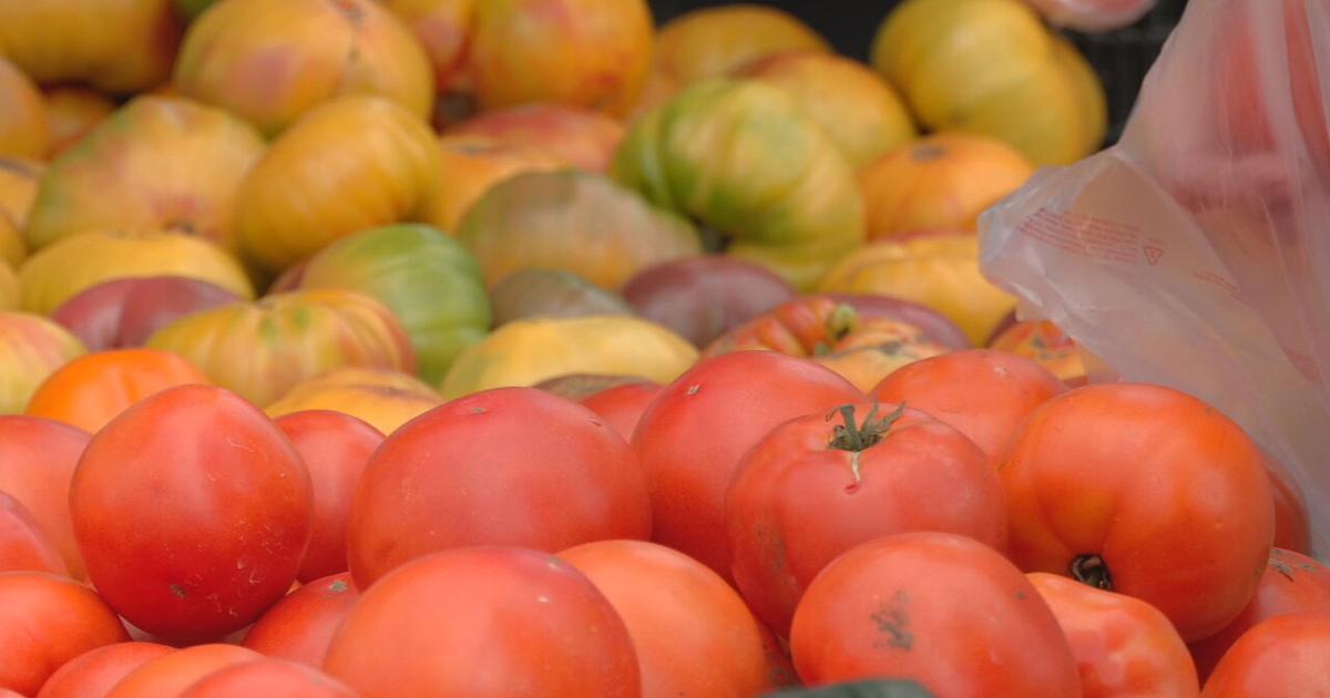 Savjeti za zdravu prehranu tijekom praznika od UofL Health | Lokalne vijesti