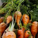 Pet najboljih savjeta za zdravije životne navike u 2026.