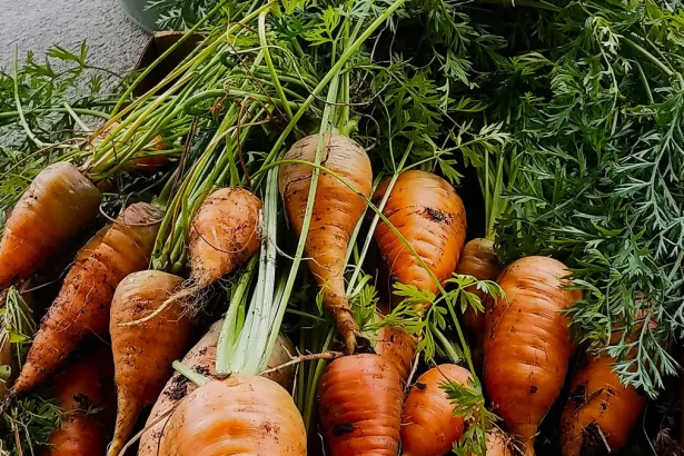 Pet najboljih savjeta za zdravije životne navike u 2026.