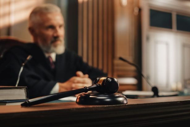 Preoblikovanje pravde: Kako tehnologija mijenja podršku strankama koje se same zastupaju