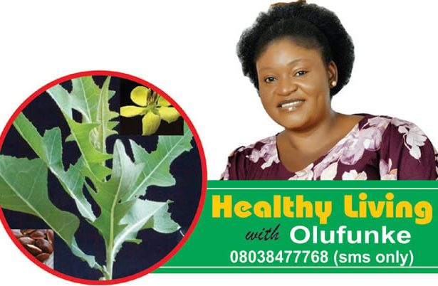 Zdravlje i uspjeh: Savjeti za bolju Novu godinu