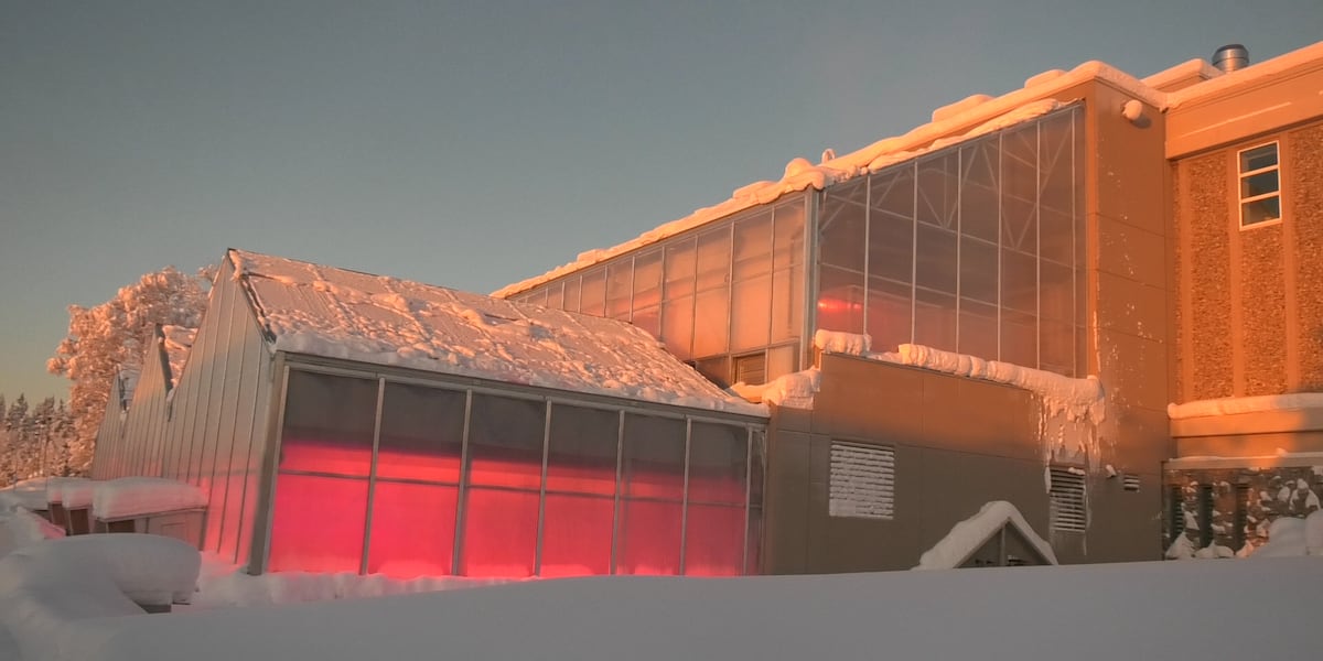 Istraživači UAF-a primjenjuju tehnologiju za zimsku proizvodnju hrane na Aljasci