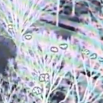 Tehnologija dronova pomaže vatrogascima u Monroeu u lociranju požara lišća