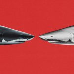 Hoće li tehnologija omogućiti neovisnim agencijama da konkuriraju holdcos-ima? Oni tako misle.