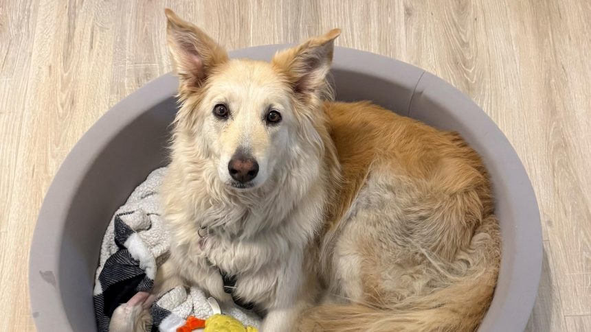 wirestory 40d062442d718a2c3f9006784d6fb64c 16x9