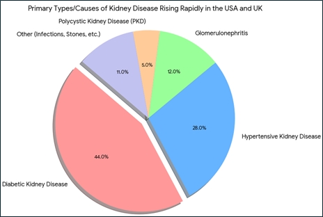 Chronic Kidney Disease Increasing Sharply in the USA and UK: Experts Attribute It to Lifestyle, Diet, and Metabolic Disorders