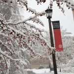 Mehta Research Group Aims to Enhance Global Nutrition Through Precision Nutrition Technology