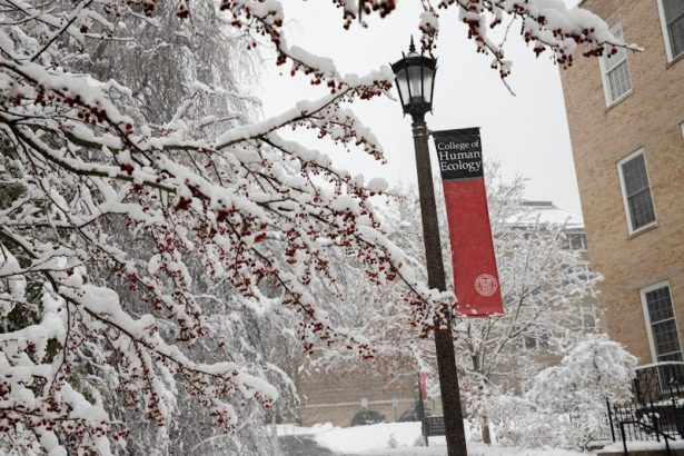 Mehta Research Group Aims to Enhance Global Nutrition Through Precision Nutrition Technology