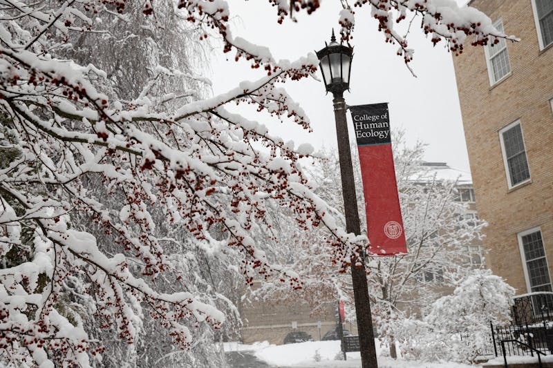 Mehta Research Group Aims to Enhance Global Nutrition Through Precision Nutrition Technology