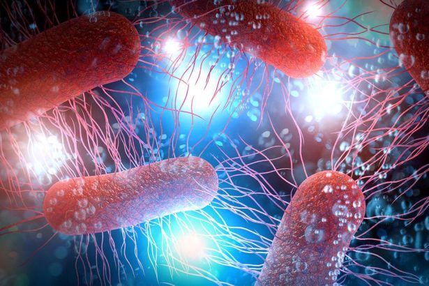 Genetska tehnologija nove generacije protiv porasta otpornosti na antibiotike