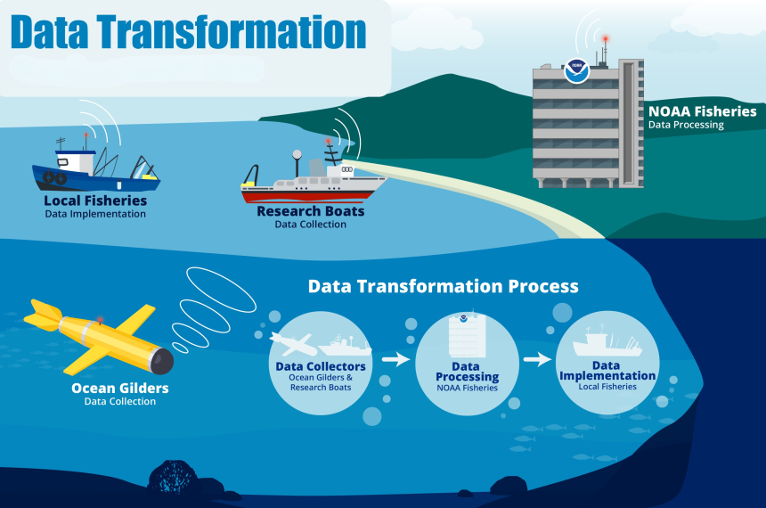 Data Transformation Graphic