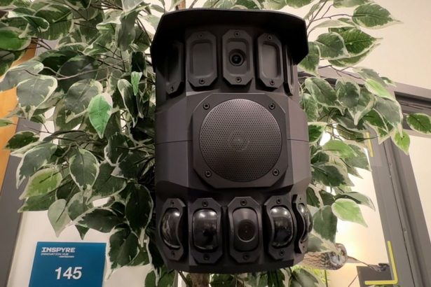 Harnessing Artificial Intelligence for Animal Communication