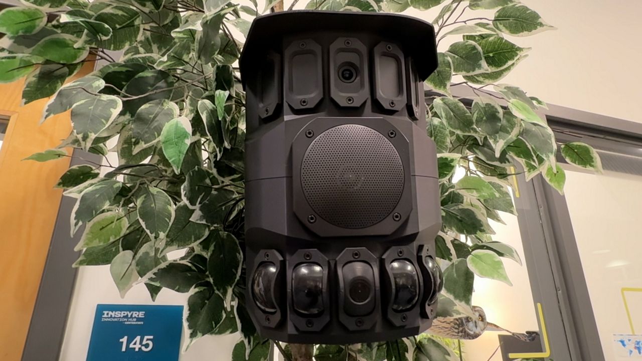 Harnessing Artificial Intelligence for Animal Communication